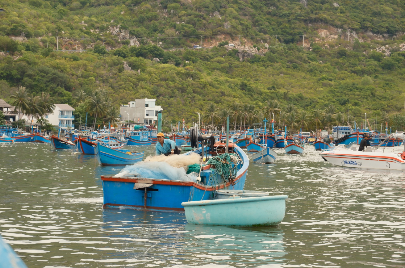 Vĩnh Hy - một trong "bốn vịnh đẹp nhất Việt Nam" - Ảnh 4. Vĩnh Hy - một trong "bốn vịnh đẹp nhất Việt Nam" - Ảnh 4.