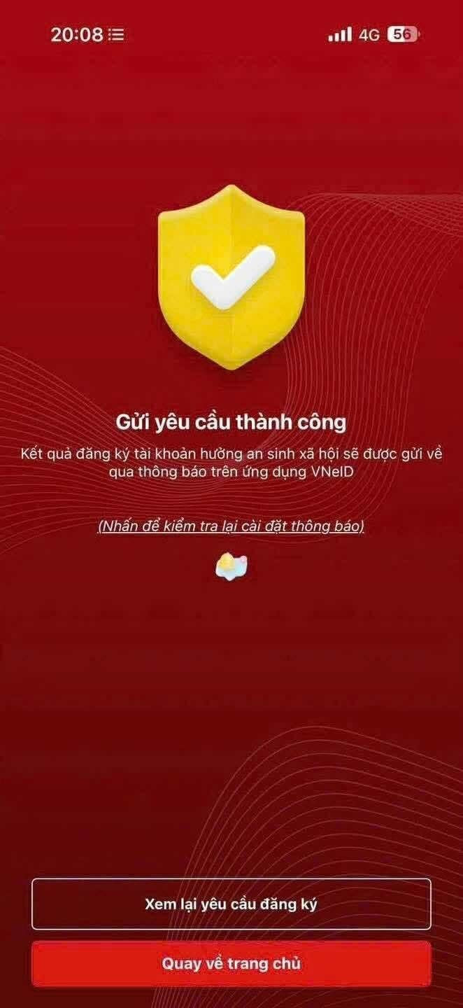  - Ảnh 4.