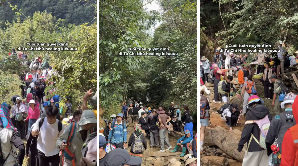 T&agrave; Ch&igrave; Nh&ugrave; m&ugrave;a hoa Chi P&acirc;u 2026: Trải nghiệm trekking tuyệt vời giữa rừng n&uacute;i - Ảnh 4.