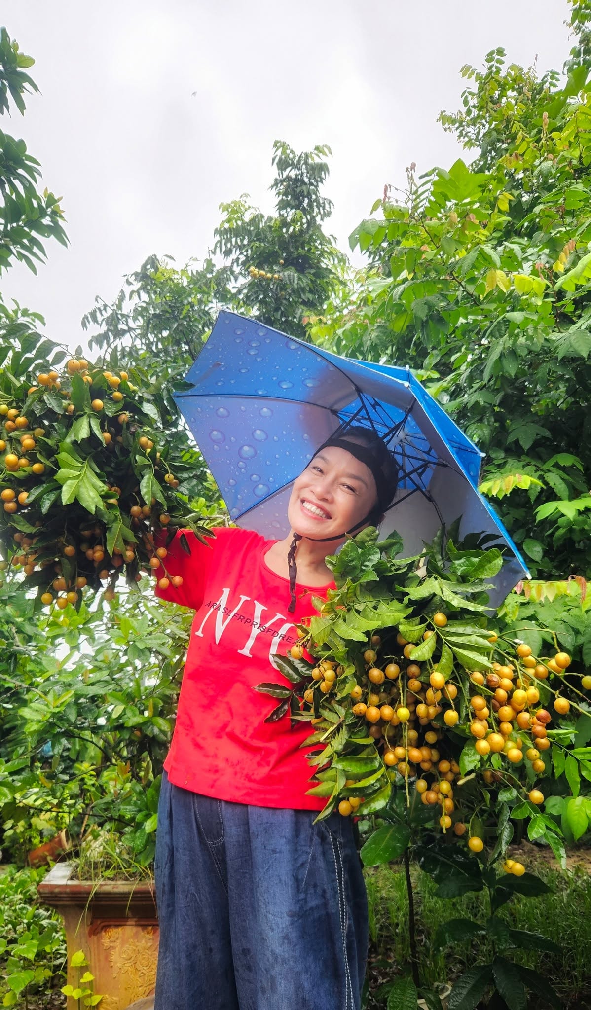 Nghệ sĩ T&uacute; Oanh nghỉ hưu sớm , tận hưởng cuộc sống b&ecirc;n khu vườn 4 . 000 M&sup2; ven s&ocirc;ng Hồng - Ảnh 2.