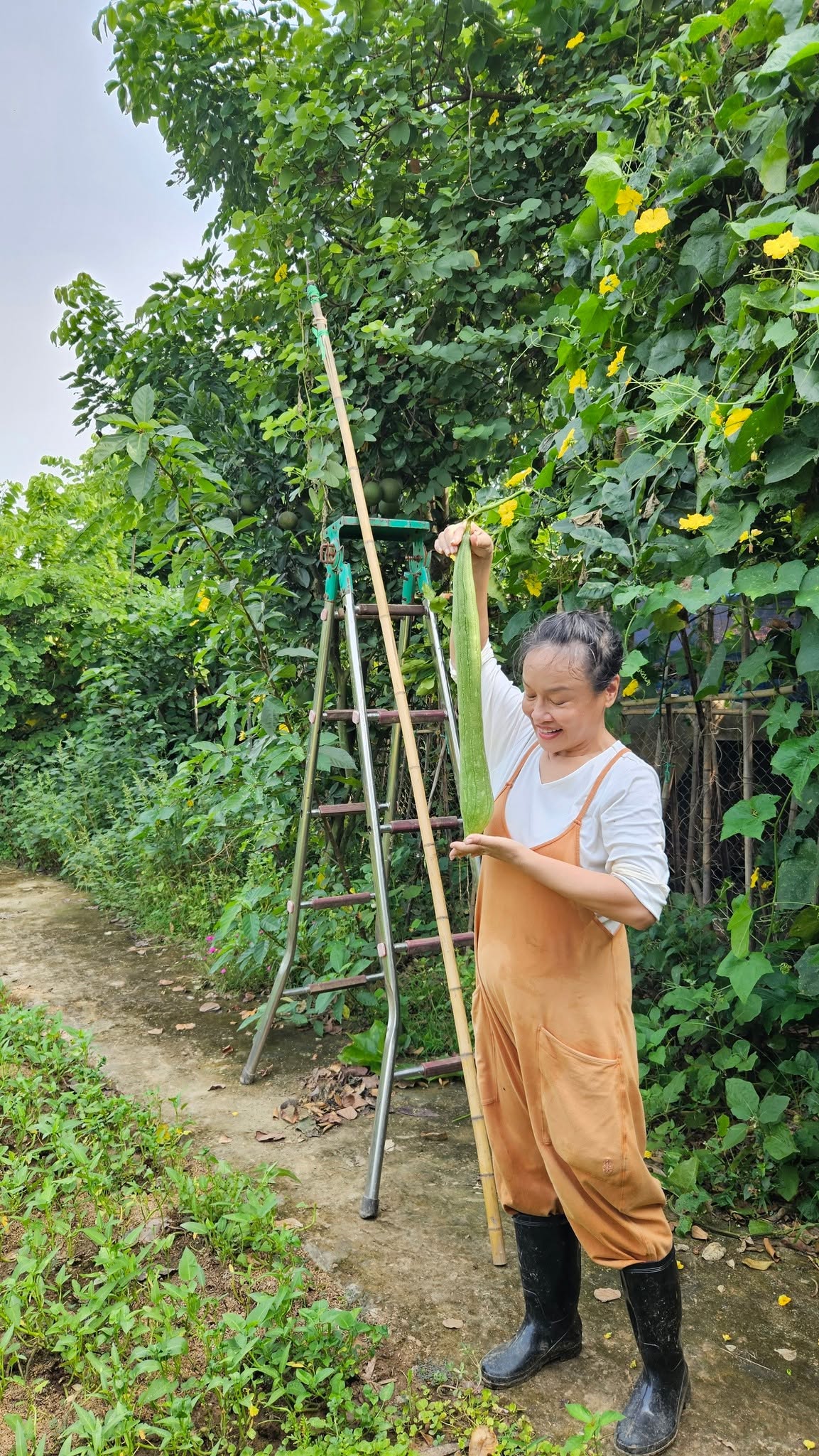 Nghệ sĩ T&uacute; Oanh nghỉ hưu sớm , tận hưởng cuộc sống b&ecirc;n khu vườn 4 . 000 M&sup2; ven s&ocirc;ng Hồng - Ảnh 7.