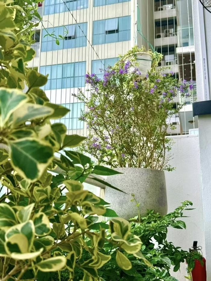 Tự Long từ thợ mộc trở thành Giám đốc Nhà hát Chèo Quân đội tại Hà Nội - Ảnh 8. Tự Long từ thợ mộc trở thành Giám đốc Nhà hát Chèo Quân đội tại Hà Nội - Ảnh 8.