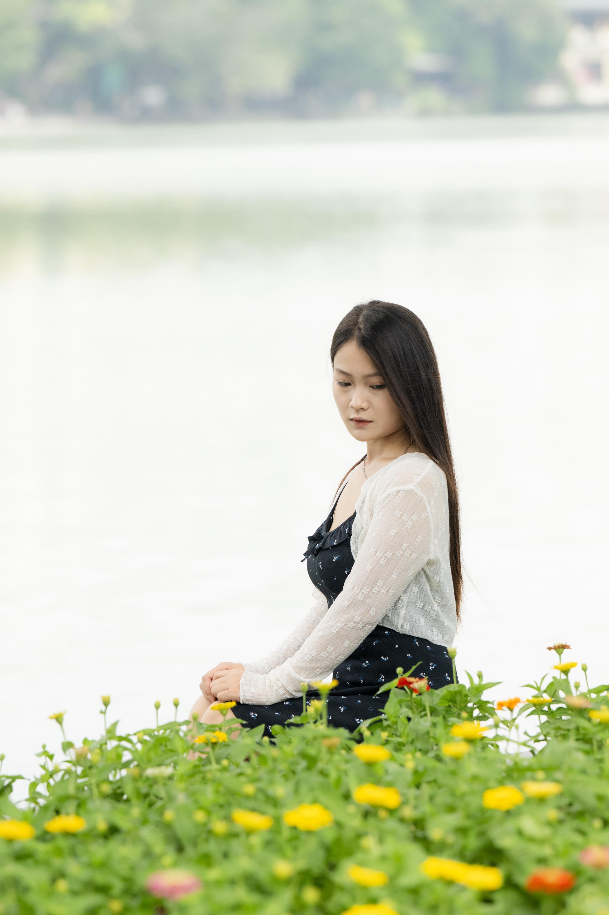 - Ảnh 28. - Ảnh 28.