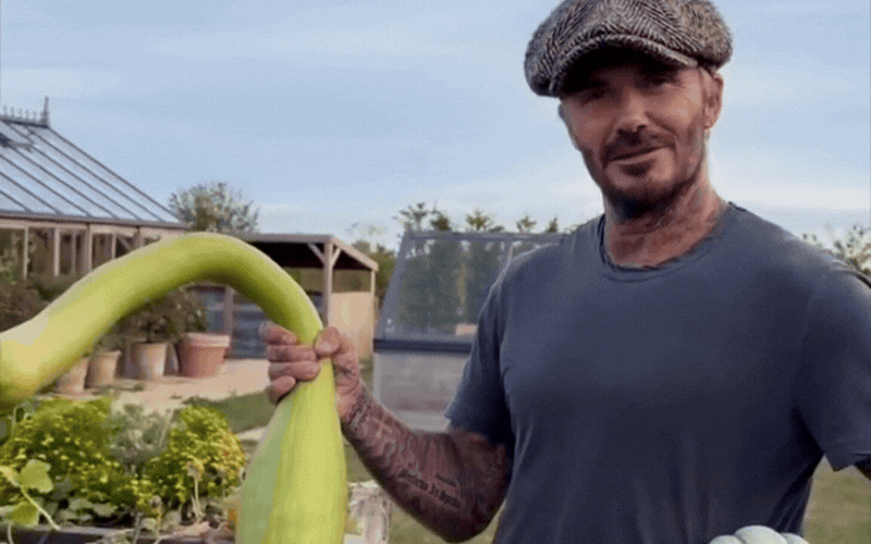 David Beckham h&agrave;o hứng khoe th&agrave;nh quả l&agrave;m vườn v&agrave; niềm vui gia đ&igrave;nh - Ảnh 3.