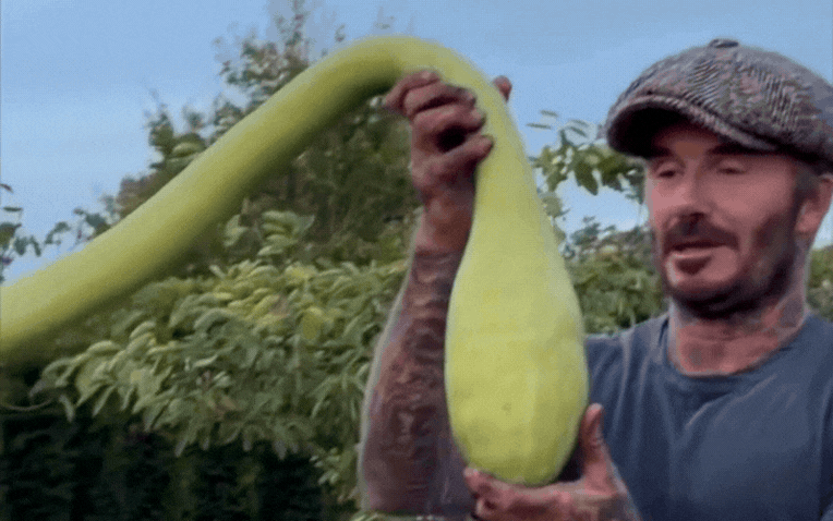 David Beckham h&agrave;o hứng khoe th&agrave;nh quả l&agrave;m vườn v&agrave; niềm vui gia đ&igrave;nh - Ảnh 1.