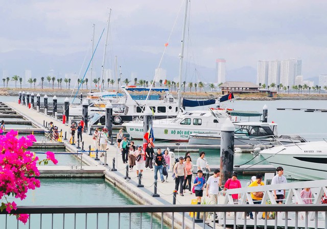  - Ảnh 3.