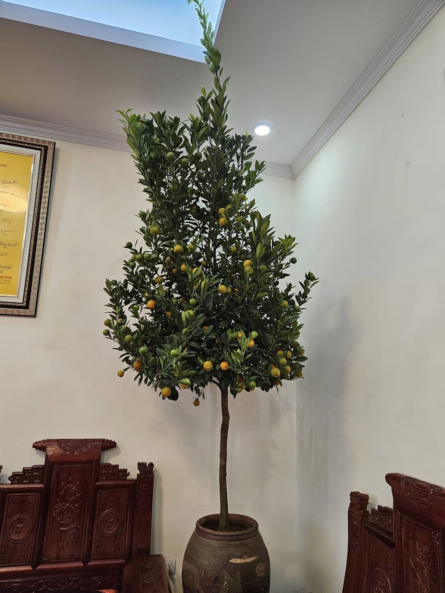 NSND Quốc Trượng nghỉ hưu ở tuổi 58 , sống trong biệt thự sang trọng tại Hà Nội - Ảnh 10.