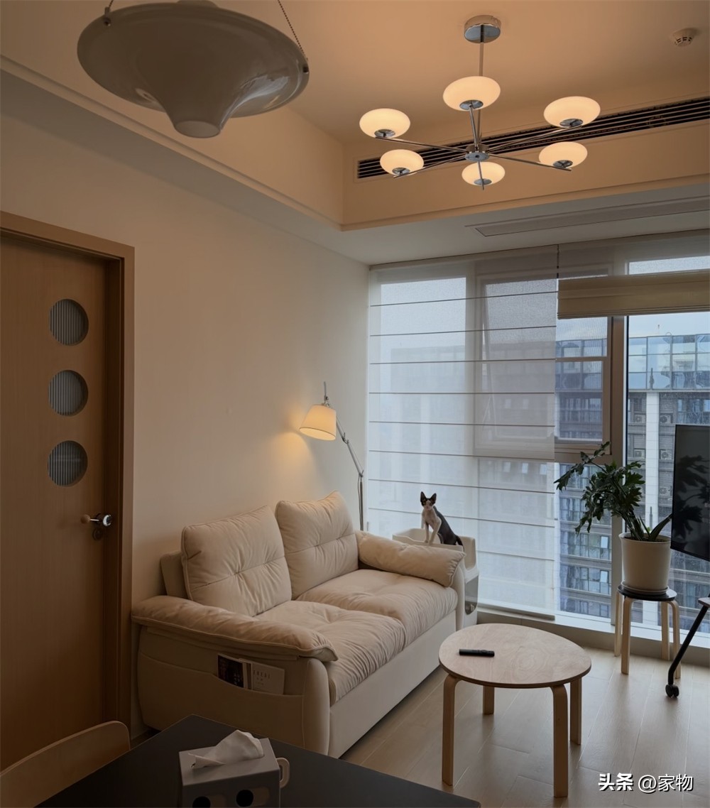 Căn hộ độc thân giờ dần mất sức hút: 6 lý do sống lâu mới thấm - Ảnh 2. Căn hộ độc thân giờ dần mất sức hút: 6 lý do sống lâu mới thấm - Ảnh 2.