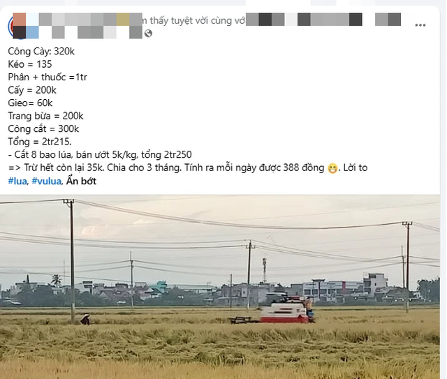  - Ảnh 1.