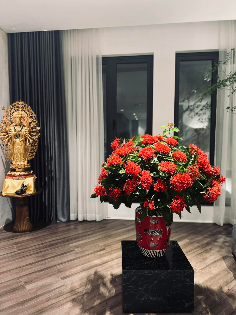 Căn nhà đẳng cấp của BTV Dương Ngọc Trinh gây ấn tượng với thiết kế nghệ thuật - Ảnh 13. Căn nhà đẳng cấp của BTV Dương Ngọc Trinh gây ấn tượng với thiết kế nghệ thuật - Ảnh 13.