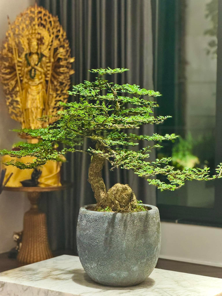 Căn nhà đẳng cấp của BTV Dương Ngọc Trinh gây ấn tượng với thiết kế nghệ thuật - Ảnh 11. Căn nhà đẳng cấp của BTV Dương Ngọc Trinh gây ấn tượng với thiết kế nghệ thuật - Ảnh 11.