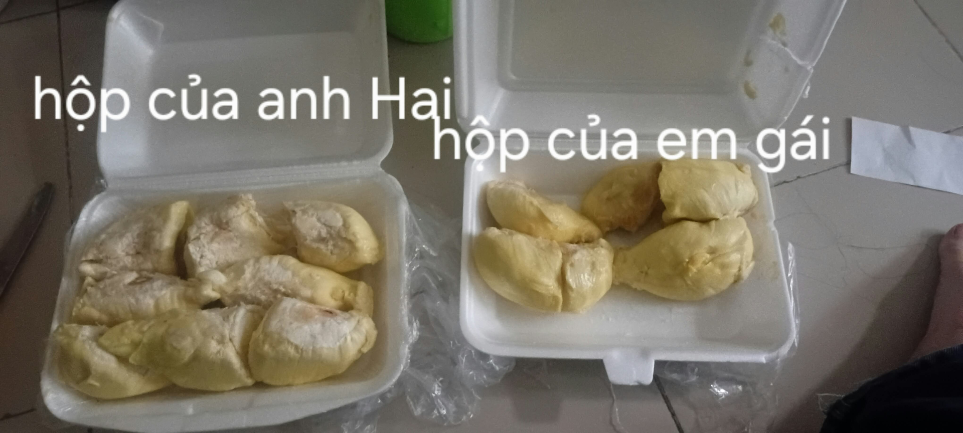  - Ảnh 1.
