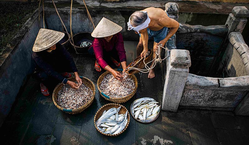 Nghề đ&aacute;nh c&aacute; an nh&agrave;n nơi s&oacute;ng biển Việt Nam v&agrave; những x&oacute;m ch&agrave;i trăm năm tuổi - Ảnh 10.