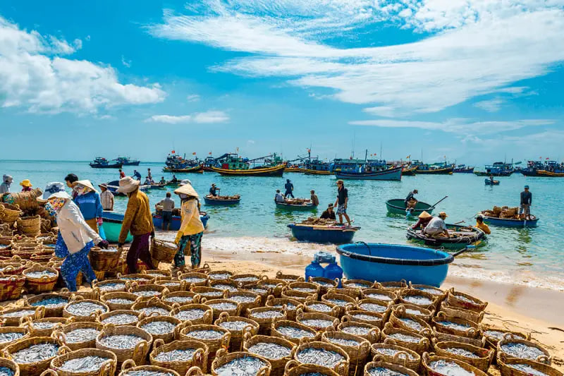 Nghề đ&aacute;nh c&aacute; an nh&agrave;n nơi s&oacute;ng biển Việt Nam v&agrave; những x&oacute;m ch&agrave;i trăm năm tuổi - Ảnh 14.