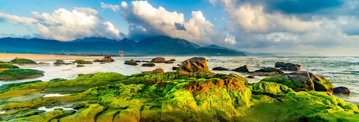 Nghề đ&aacute;nh c&aacute; an nh&agrave;n nơi s&oacute;ng biển Việt Nam v&agrave; những x&oacute;m ch&agrave;i trăm năm tuổi - Ảnh 9.