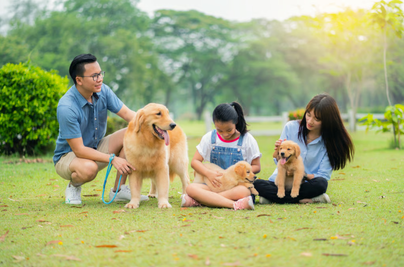 Ng&agrave;nh dịch vụ tang lễ th&uacute; cưng tại Trung Quốc: Thị trường 1,5 tỷ USD đang ph&aacute;t triển - Ảnh 4.
