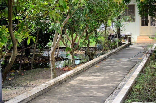 - Ảnh 5. - Ảnh 5.