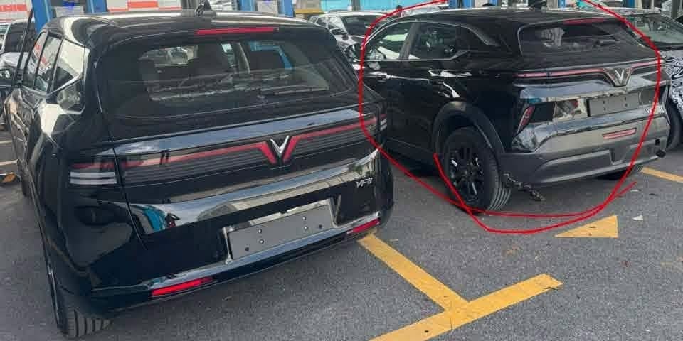 - Ảnh 1. - Ảnh 1.