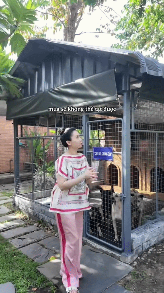 Căn nhà cho 14 chú chó của “phú bà” bán gạo ở TP.HCM: Lắp điều hòa, camera, cửa tự động- Ảnh 5.