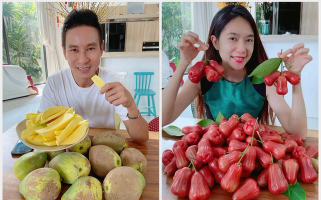 Biệt thự 40 tỷ của L&yacute; Hải- Ảnh 6.