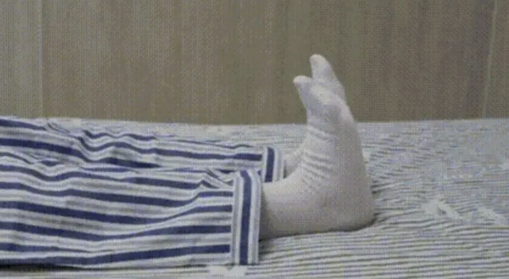 - Ảnh 1. - Ảnh 1.