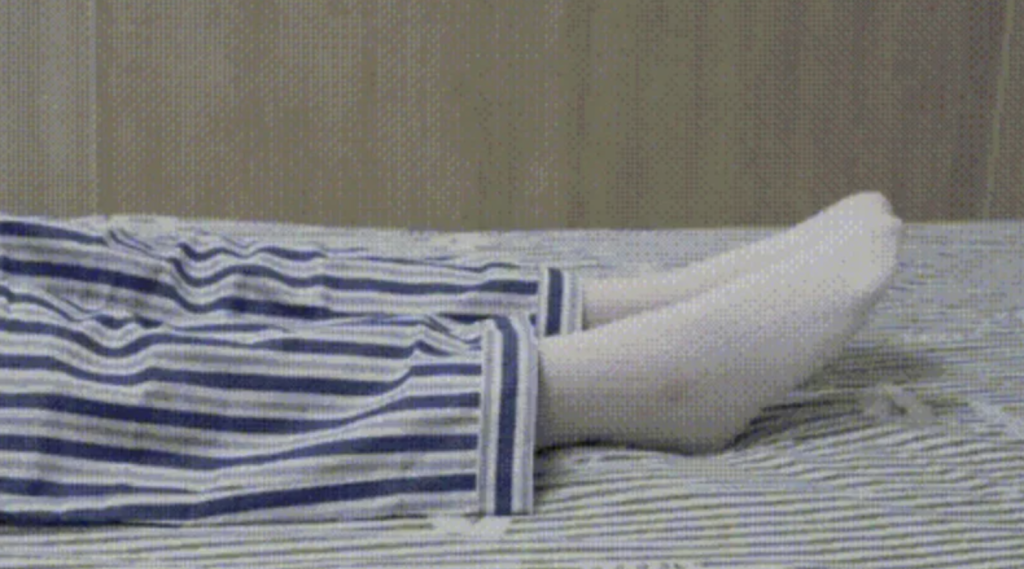 - Ảnh 2. - Ảnh 2.
