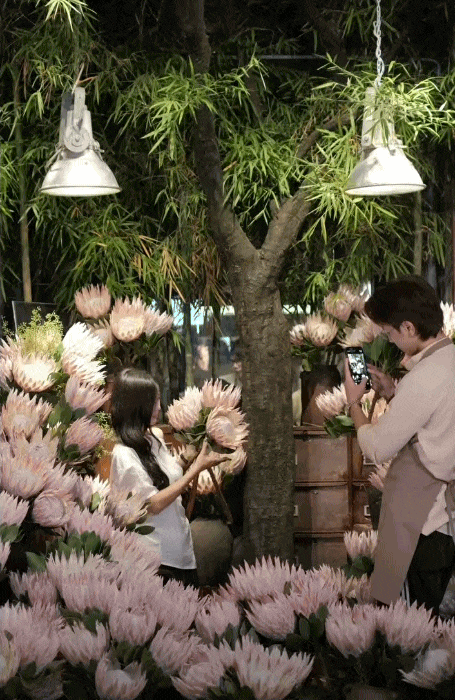 "Thảo đường hoàng đế" là hoa gì mà giá tới 1,5 triệu đồng/bông, khiến giới trẻ rần rần xếp hàng check-in? - Ảnh 1.