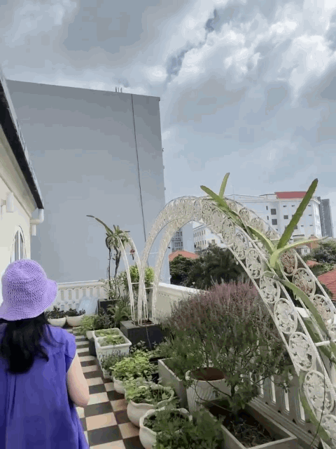 Vườn nh&agrave; 200 m&sup2; của Gi&aacute;ng My: Nơi sắc hoa v&agrave; rau sạch h&ograve;a quyện - Ảnh 4.