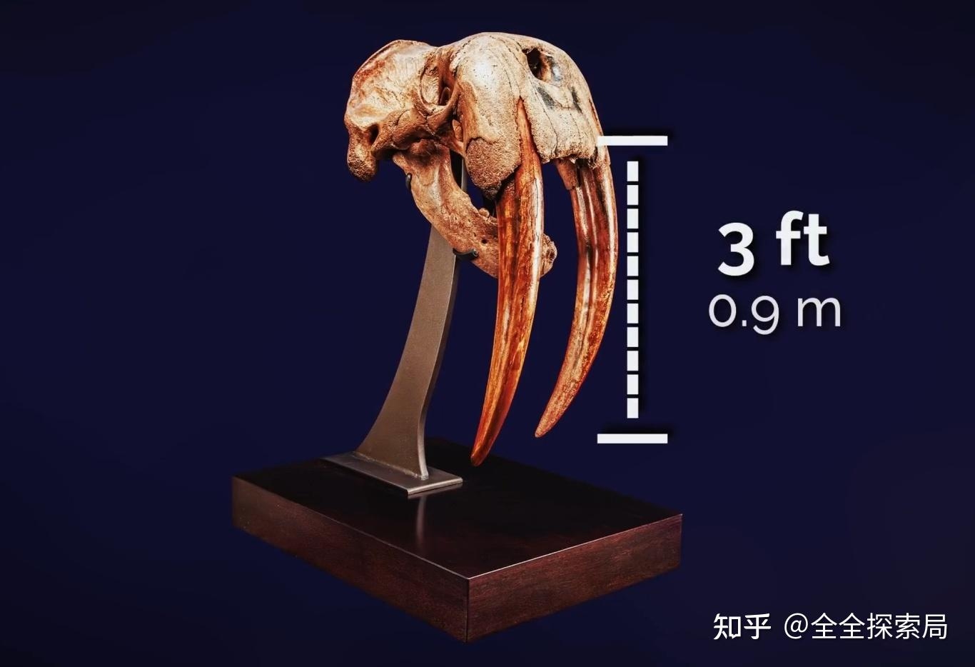 - Ảnh 2. - Ảnh 2.