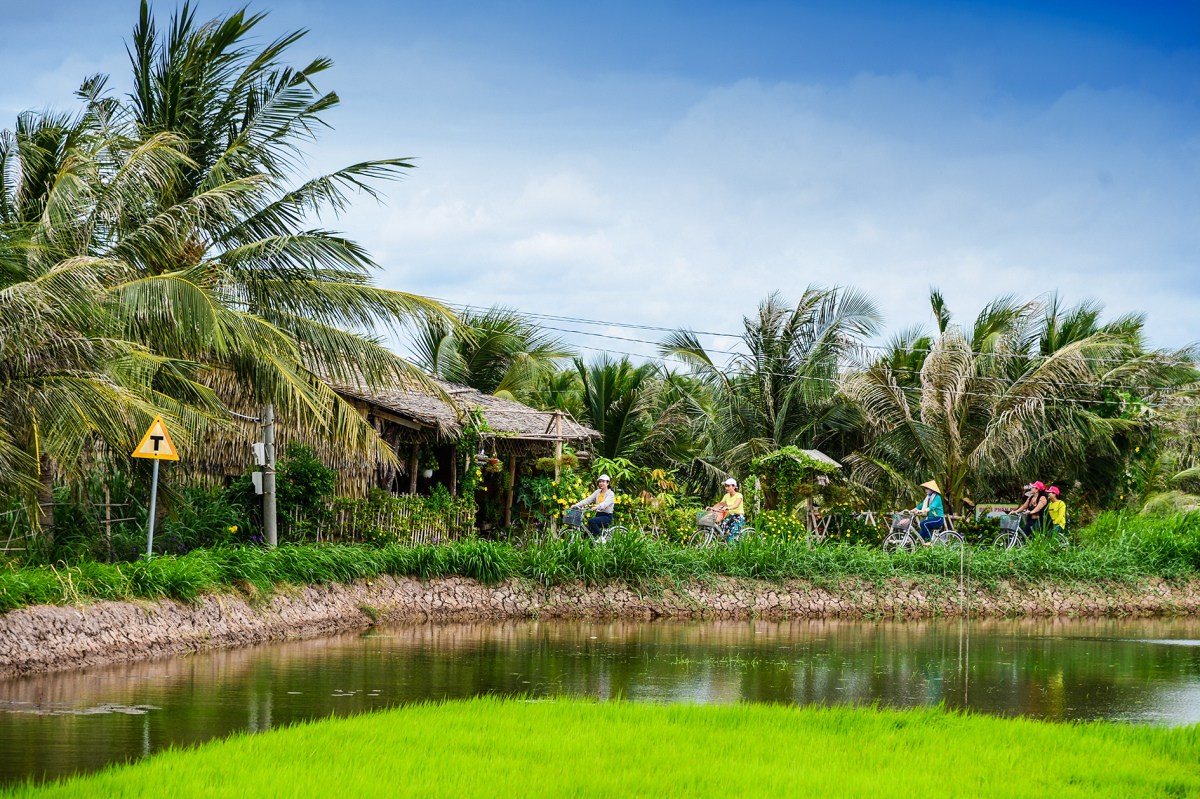 Cồn Chim Tr&agrave; Vinh đ&oacute;n kh&aacute;ch đ&ocirc;ng chưa từng c&oacute; sau MV Phương Mỹ Chi - Ảnh 10.