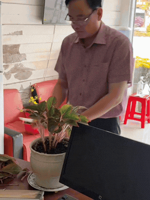 Căn nh&agrave; ở qu&ecirc; của Hoa hậu Bảo Ngọc- Ảnh 6.