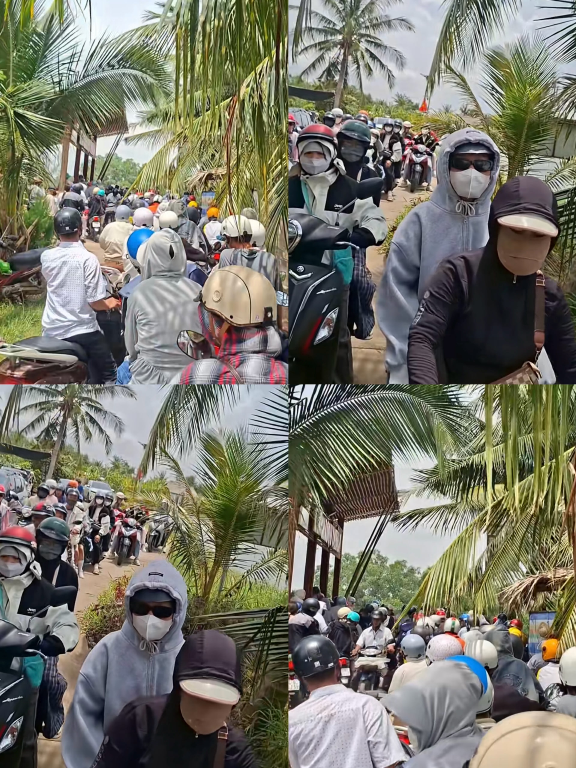 Cồn Chim Tr&agrave; Vinh đ&oacute;n kh&aacute;ch đ&ocirc;ng chưa từng c&oacute; sau MV Phương Mỹ Chi - Ảnh 2.