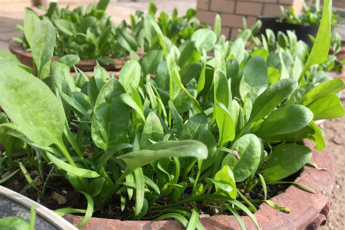  - Ảnh 1.