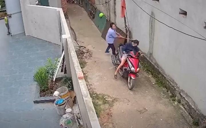  - Ảnh 1.
