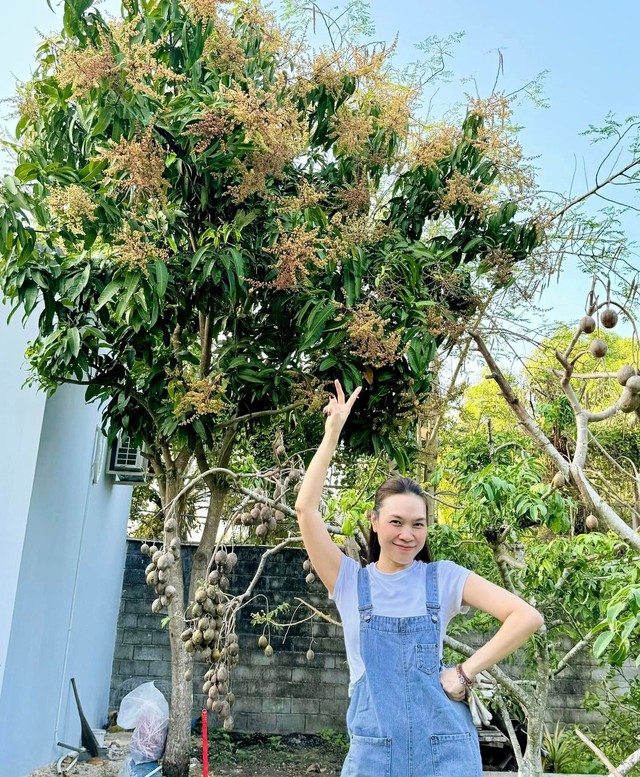 Cơ ngơi ở TP.HCM của Mỹ Tâm- Ảnh 1.