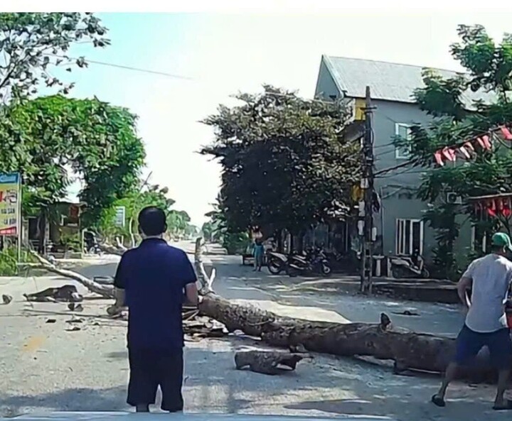  - Ảnh 1.