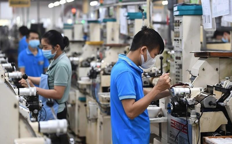 Từ mai (10/9), người lao động c&oacute; thể bị phạt tiền l&ecirc;n đến 100 triệu đồng nếu vi phạm điều sau - Ảnh 1.
