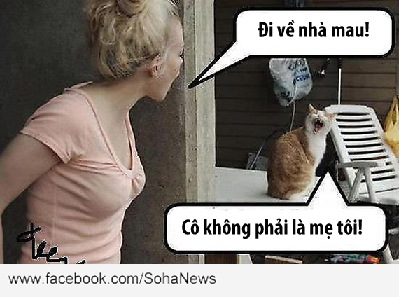 co-khong-phai-me-toi