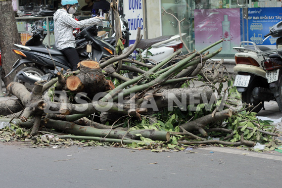 ha-noi-chat-vat-don-dep-bai-chien-truong-sau-bao-so-5