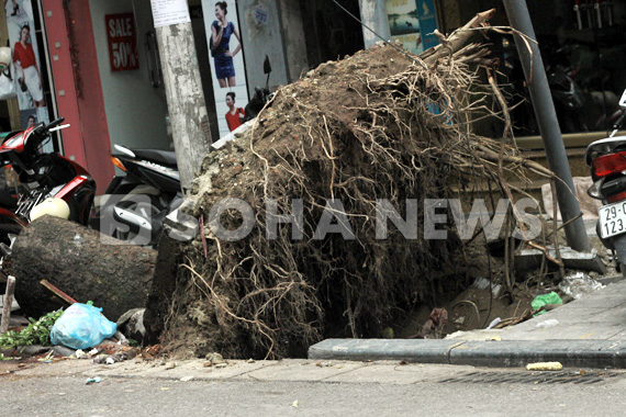 ha-noi-chat-vat-don-dep-bai-chien-truong-sau-bao-so-5