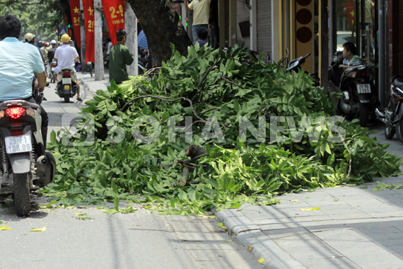 ha-noi-chat-vat-don-dep-bai-chien-truong-sau-bao-so-5