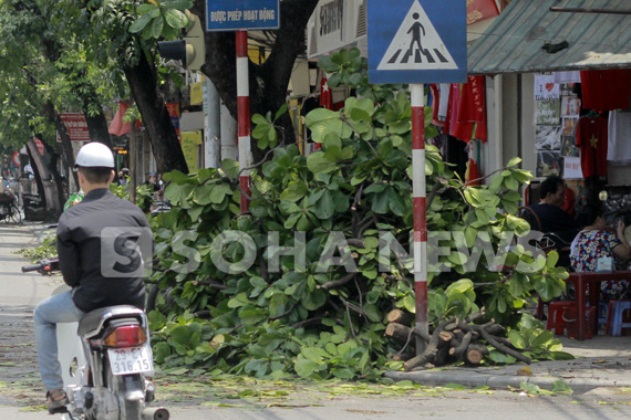 ha-noi-chat-vat-don-dep-bai-chien-truong-sau-bao-so-5