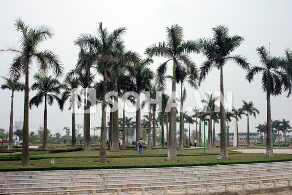 cong-trinh-nghin-nam-thang-long-diu-hiu-va-xuong-cap-tham-hai