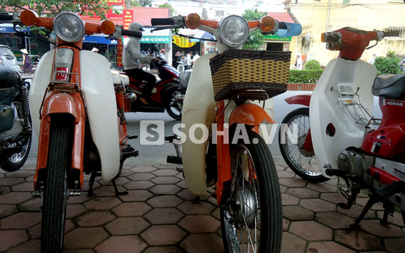 Cùng với Honda Chaly, dòng xe Honda Cub cũng chiếm gần một nửa trong bộ sưu tập xe mô tô cổ của 'thiếu gia' đất Phủ Lý - Hà Nam.