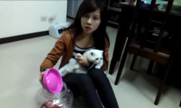 Kiki Lin (pictured) posted the image of her cat, Kiki, saying the ordeal was a 'punishment for misbehaving'