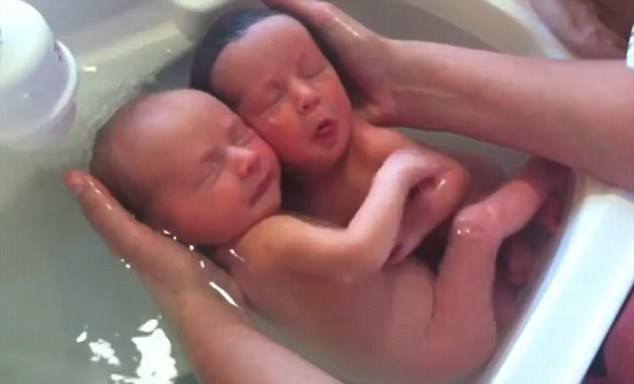 
	Video quay cảnh cặp song sinh mới lọt lòng, chưa mở mắt, còn đỏ hỏn lần đầu tắm rửa.