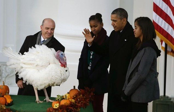 Tổng thống Obama tha chết cho gà tây, mở màn mùa lễ Tạ ơn 1