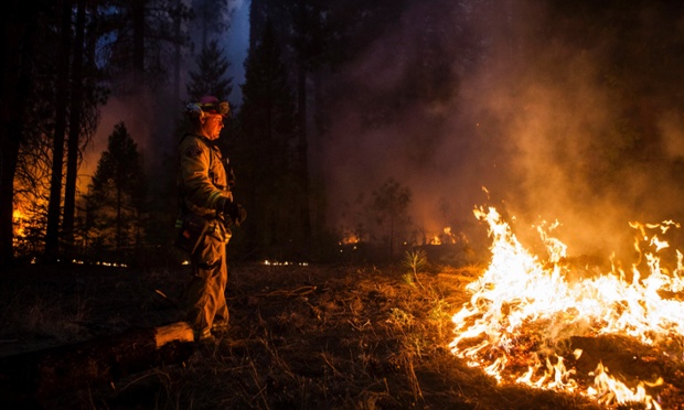 Lính cứu hỏa vất và chiến đấu với nạn cháy rừng ở bang California, Mỹ.