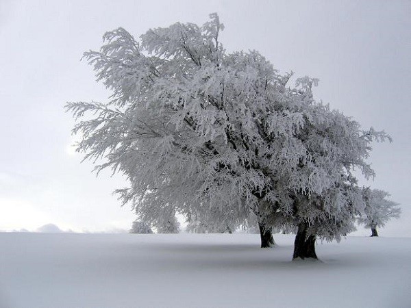 6 hiện tượng thiên nhiên tuyệt đẹp chỉ có vào mùa đông 8