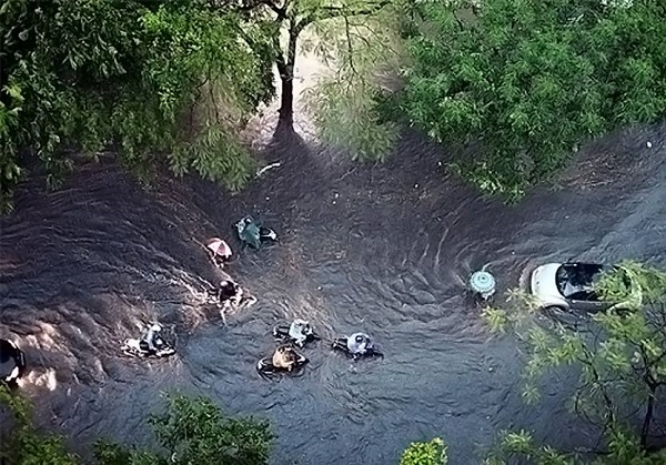 	Tại khu vực Hồ Gươm, nước ngập sâu hơn nửa bánh xe khiến người tham gia giao thông gặp khá nhiều khó khăn.
